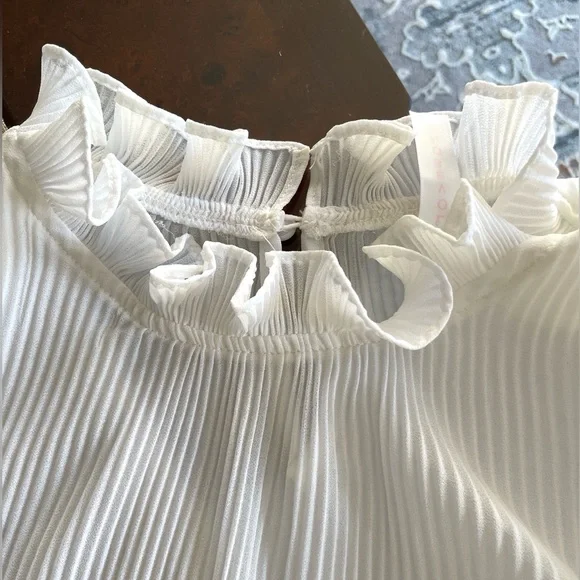 Ruffled Top - Picture 6 of 9